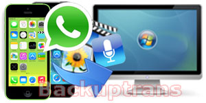Extract iPhone WhatsApp Messages Video, Photo, Voice, Audio Note to Computer