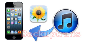 Recover lost iPhone Photos from iTunes Backup in Clicks